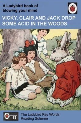 Acid in The Woods
