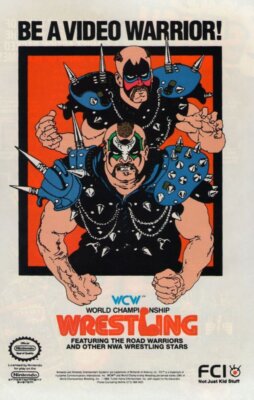 WCW Video Game